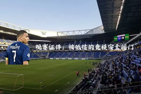 观赛证件：被低估的竞技安全阀门